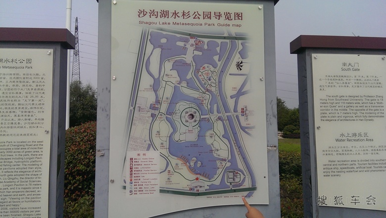 邳州沙沟湖水杉公园