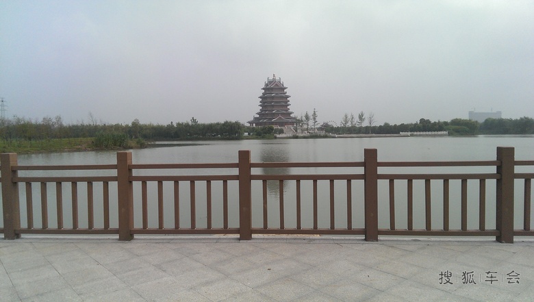 邳州沙沟湖水杉公园