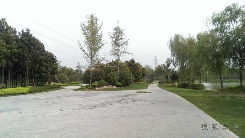 邳州沙沟湖水杉公园_帕萨特-帕盟