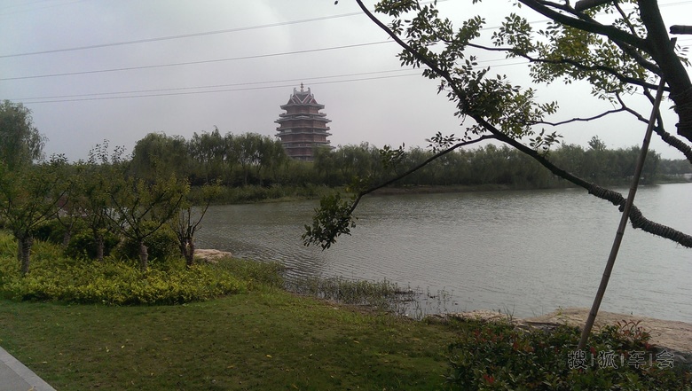 邳州沙沟湖水杉公园