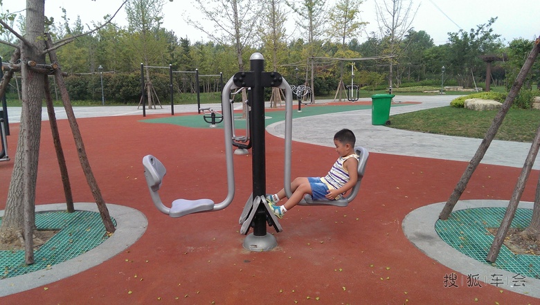 邳州沙沟湖水杉公园