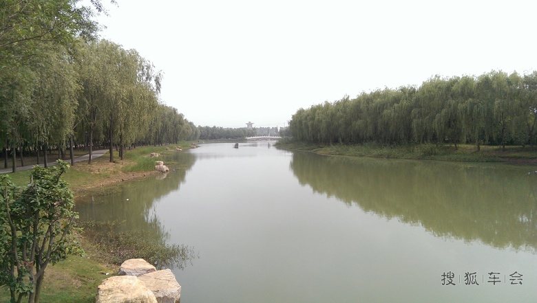 邳州沙沟湖水杉公园