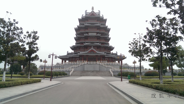 邳州沙沟湖水杉公园