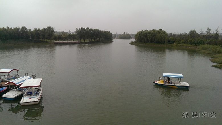 邳州沙沟湖水杉公园