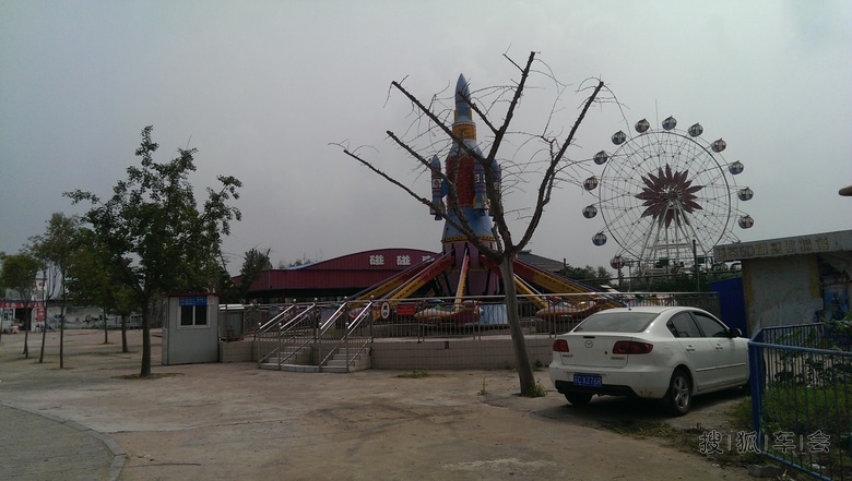 邳州沙沟湖水杉公园_帕萨特-帕盟