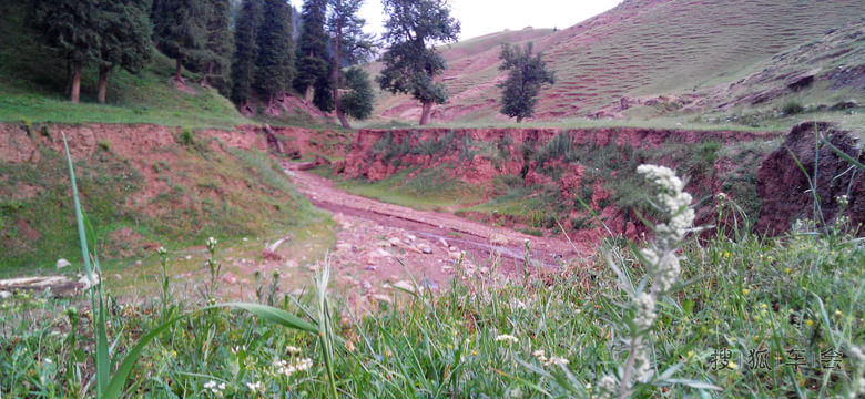 庙尔沟乡东南山,景色优美、气候宜人,乃绝佳避