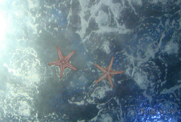 自驾游之青岛三日游_风神AX7车友会