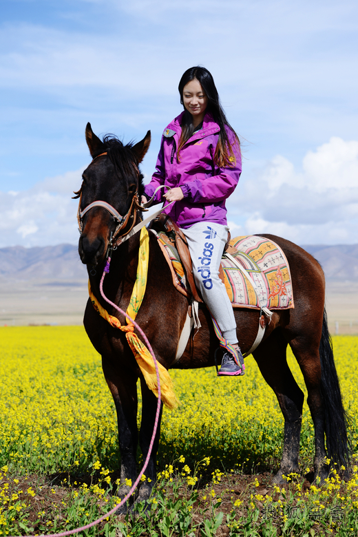 五人一车9天自驾万里游西北、青海、甘肃、内