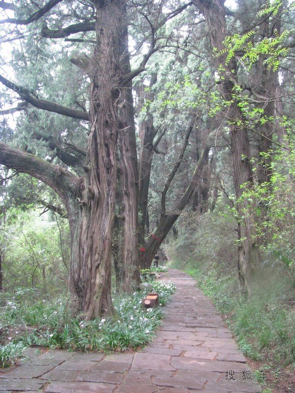 2015年自驾游广元路书--(6)剑阁