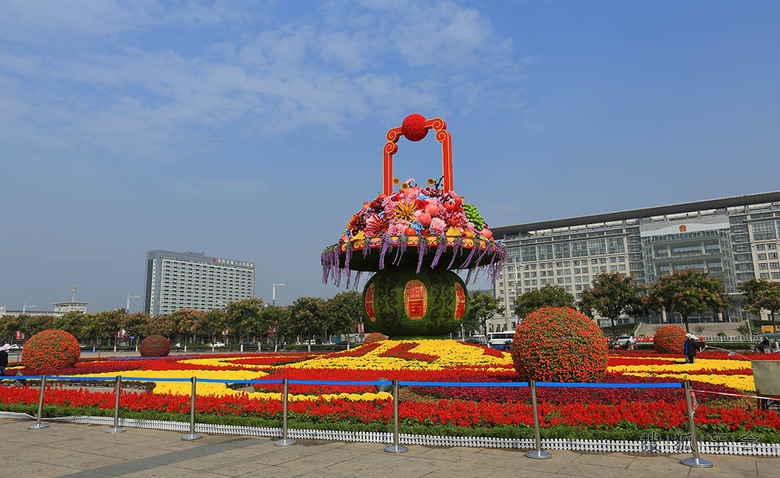 【安阳百川】束束鲜花迎国庆