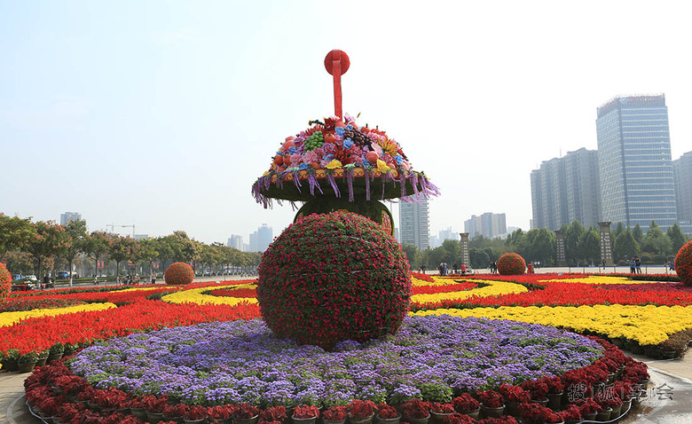 【安阳百川】束束鲜花迎国庆