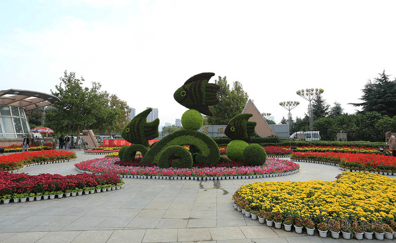 【安阳百川】束束鲜花迎国庆