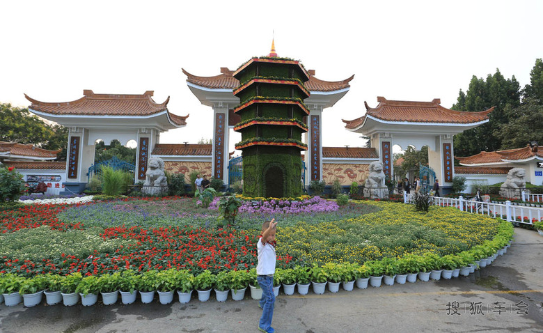 【安阳百川】束束鲜花迎国庆