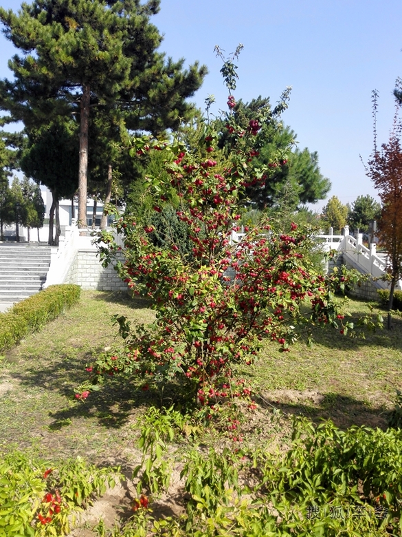 官厅水库钓鱼记