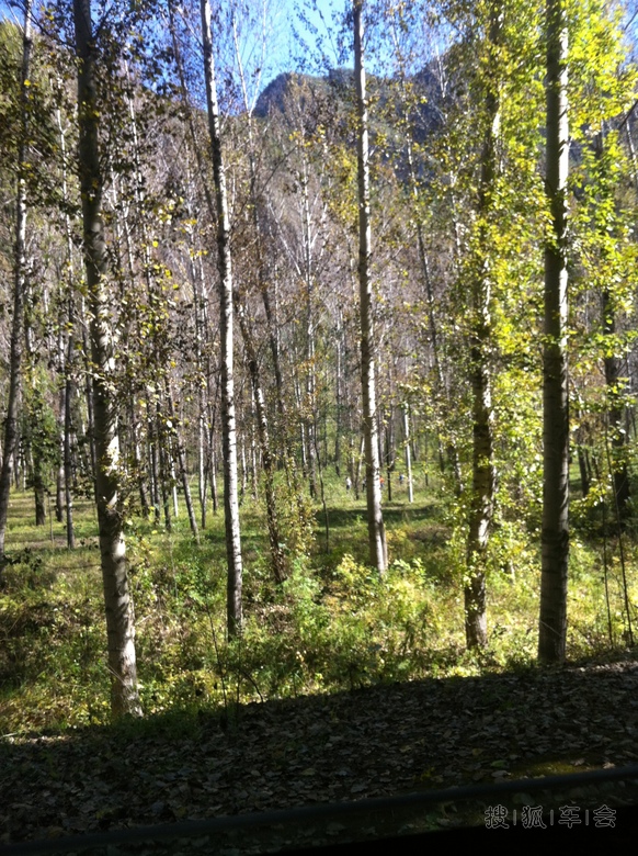 延庆四海、千家店(四季花海、百里画廊)一日游