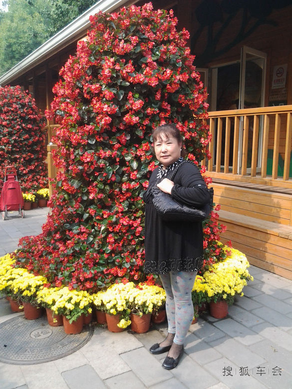 2015国庆假期游玩淘然亭公园北海景山和官厅