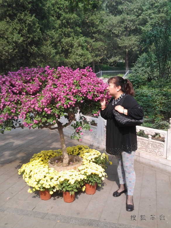 2015国庆假期游玩淘然亭公园北海景山和官厅