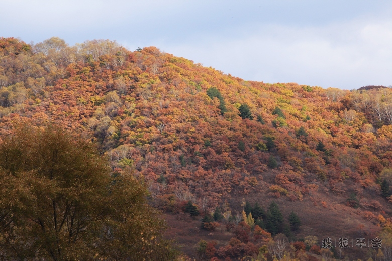 【安阳百川】走出户外去赏秋