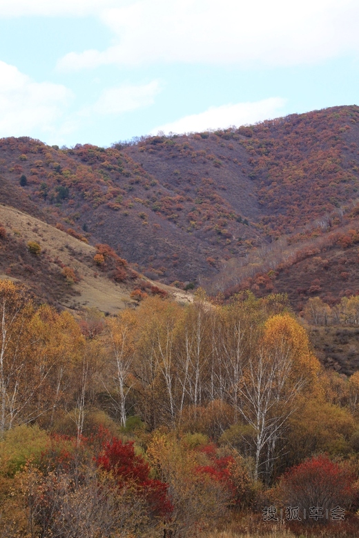 【安阳百川】走出户外去赏秋