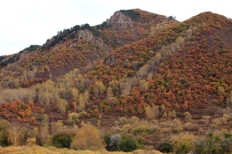 【安阳百川】走出户外去赏秋