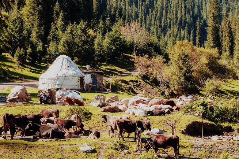 新疆万里自驾游 天山南北炫锋彩