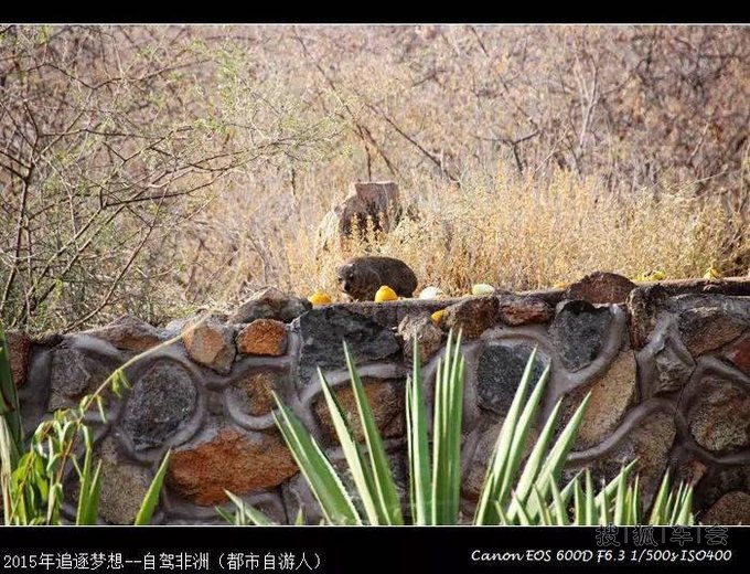 2015追逐梦想,自驾去非洲--美丽的纳米比亚上