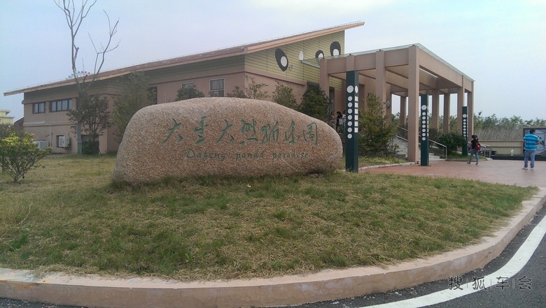 [分享20151103]大丰港动物园里的大熊猫