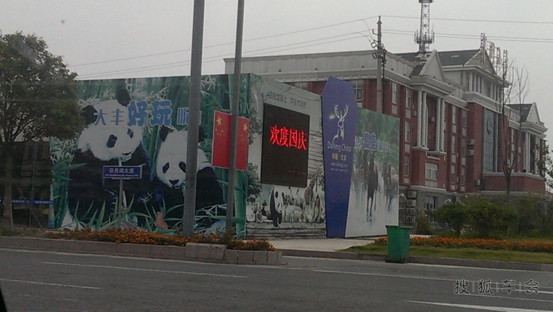 [分享20151103]大丰港动物园里的大熊猫