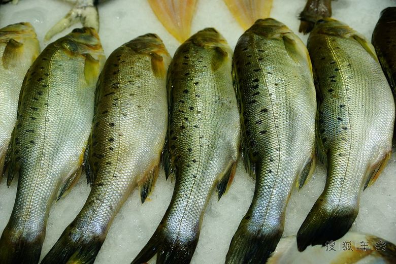 151113江苏浏河饭店菜肴丰富