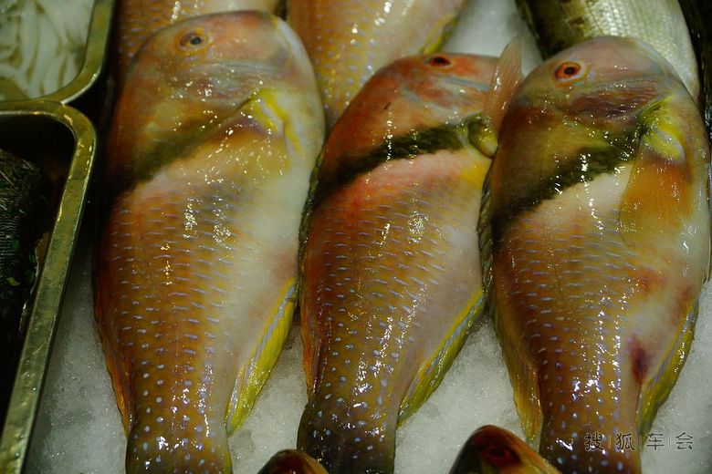 151113江苏浏河饭店菜肴丰富