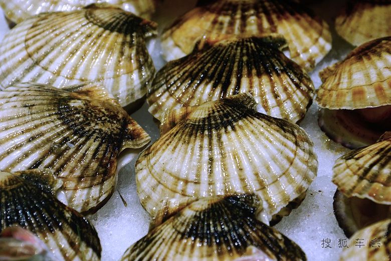 151113江苏浏河饭店菜肴丰富_天籁车友会_搜