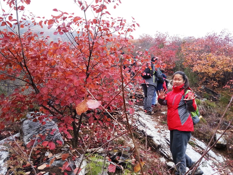 幽岚山徒步小走,泗马沟赏红叶