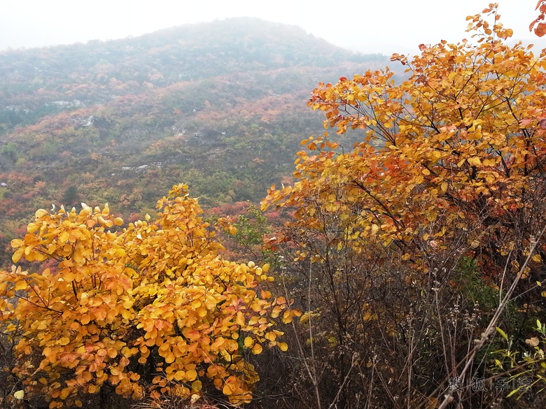 幽岚山徒步小走,泗马沟赏红叶