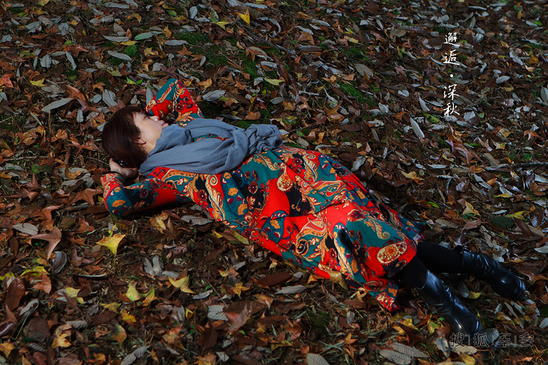 遇见,在这个红叶飘零的晚秋