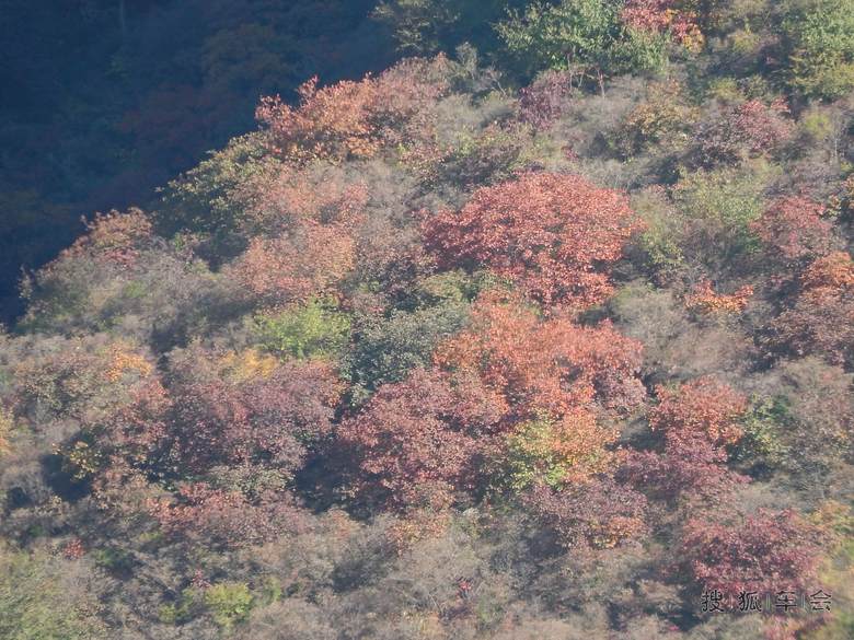 【我眼中的世界】泗马沟看红叶_汽车60部队