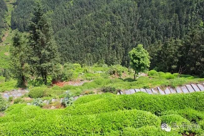 深秋,自驾行走黄山市休宁板桥村!