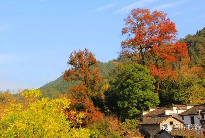 深秋,自驾行走黄山市休宁板桥村!