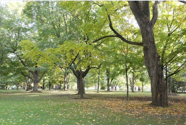 加拿大喔太华多首都和多伦大学的景点。