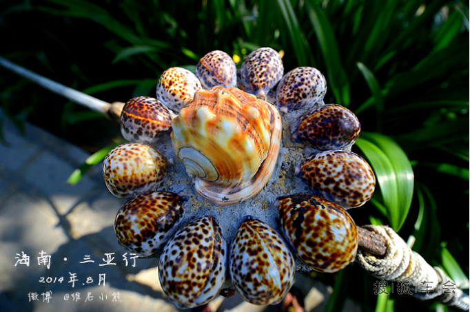 【海南】暑假亲子休闲5日三亚游全攻略