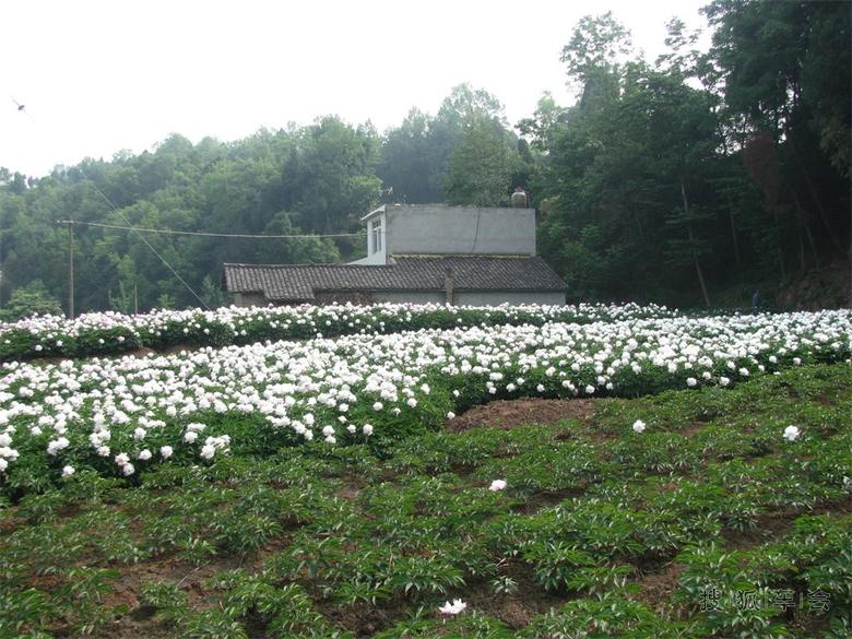 2015年自驾游德阳路书--(6)中江