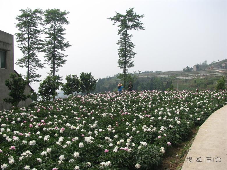 2015年自驾游德阳路书--(6)中江