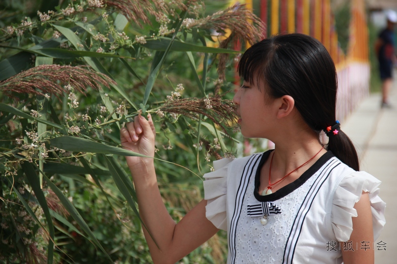 2015孩子暑假新疆行