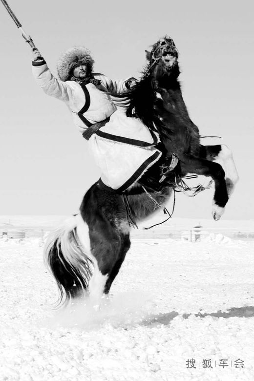 风雪大草原、沸腾牧马场