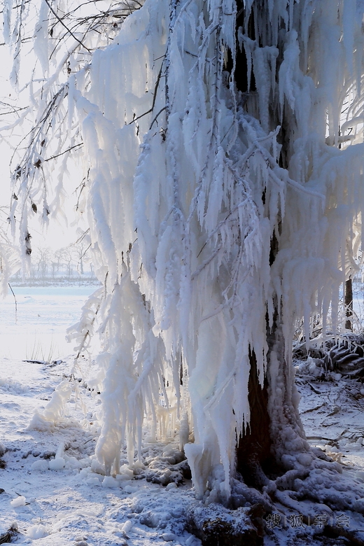 冬季东北自驾游去哪儿:吉林雾凇岛奇观天下的
