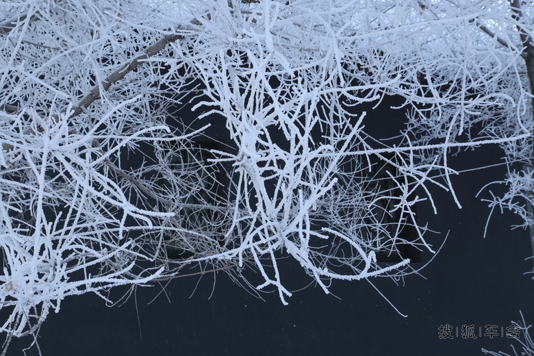 冬季东北自驾游去哪儿:吉林雾凇岛奇观天下的