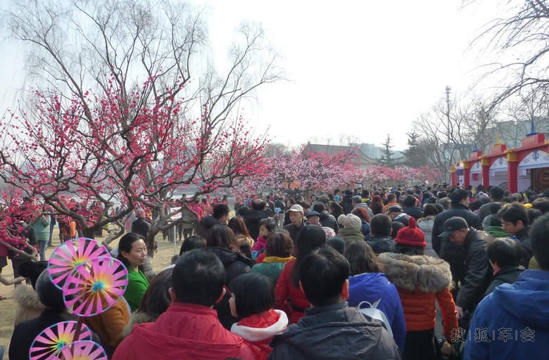 没意思的龙潭庙会_自驾游车影联盟