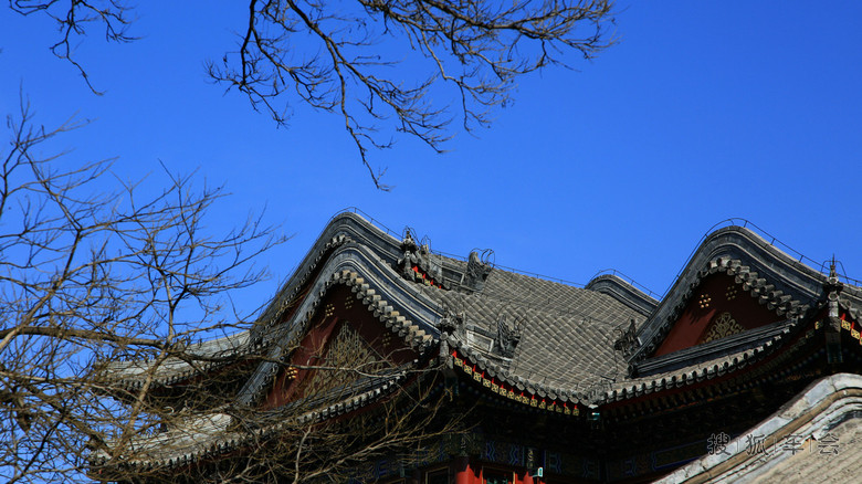 春打六九头---颐和园