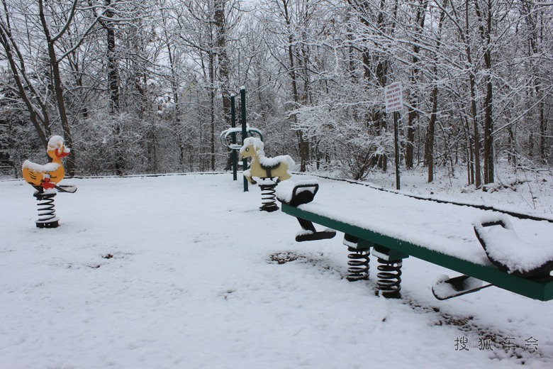 与北京同纬度的华盛顿三月还下雪呢