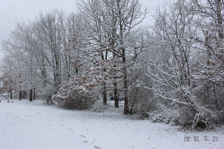 与北京同纬度的华盛顿三月还下雪呢