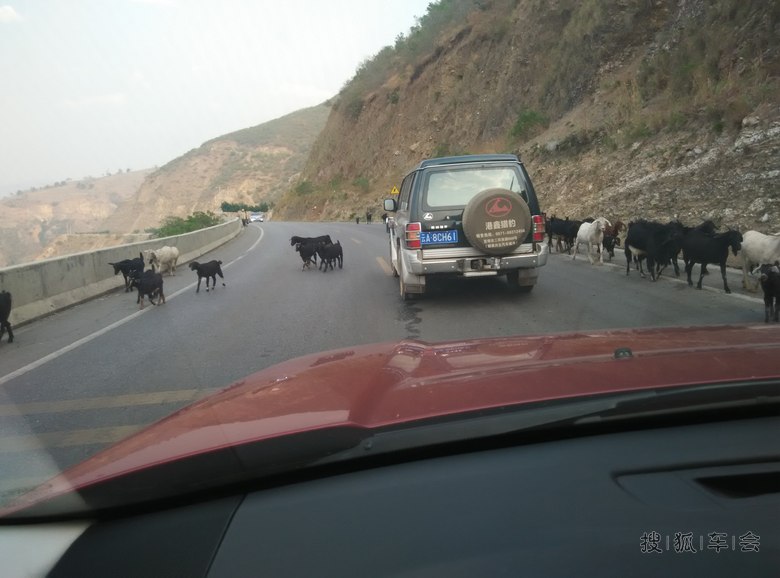 逛个旧水果市场! 买了我爱吃的琵琶! 哈哈!]